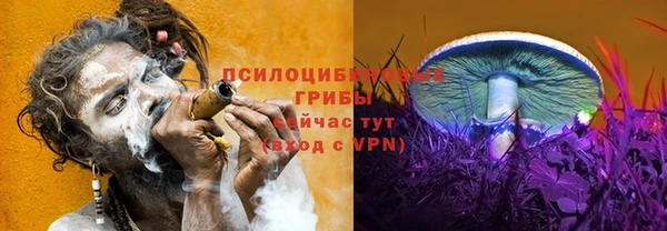 МДМА Козловка