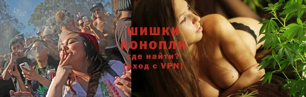 молекула духа Киреевск