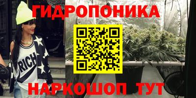 PSILOCYBIN Кинель