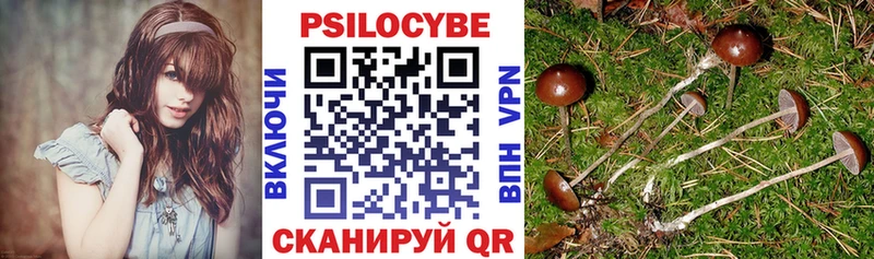 Галлюциногенные грибы мухоморы  Междуреченск 