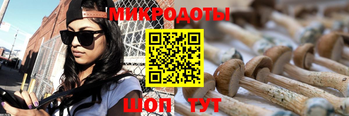 где продают наркотики  Псилоцибиновые грибы мицелий  Вход с VPN  Междуреченск 