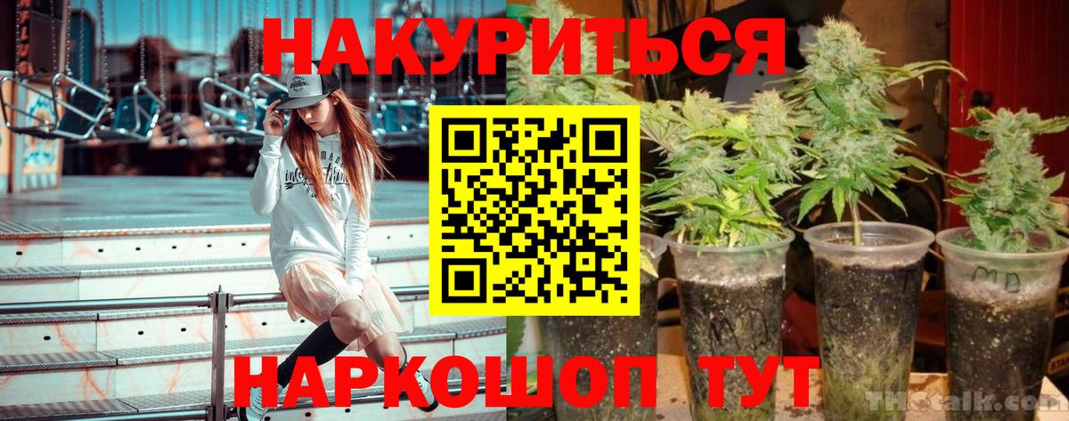 Бошки марихуана планчик  Вход с VPN  Бошки Шишки марихуана  Междуреченск  Марихуана семена 